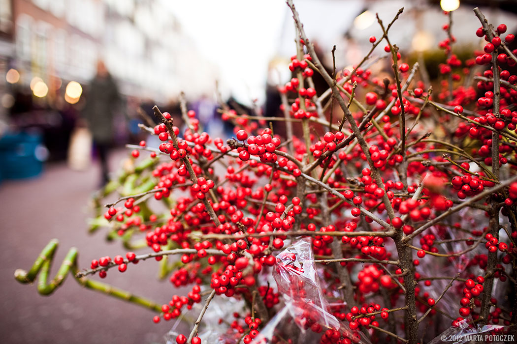 Amsterdam - Rowan