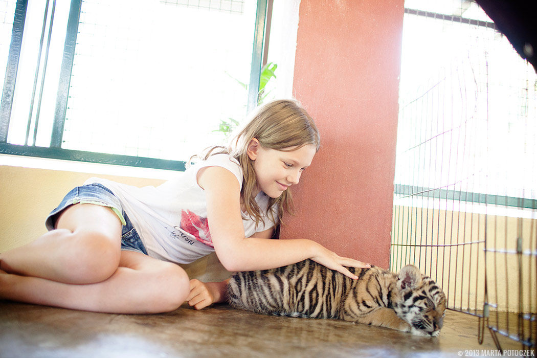 14-chiang_mai_zoo