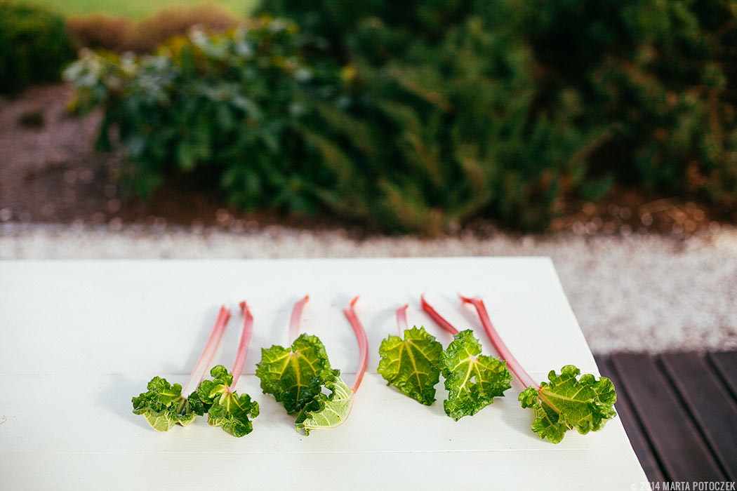 rhubarb_stalks