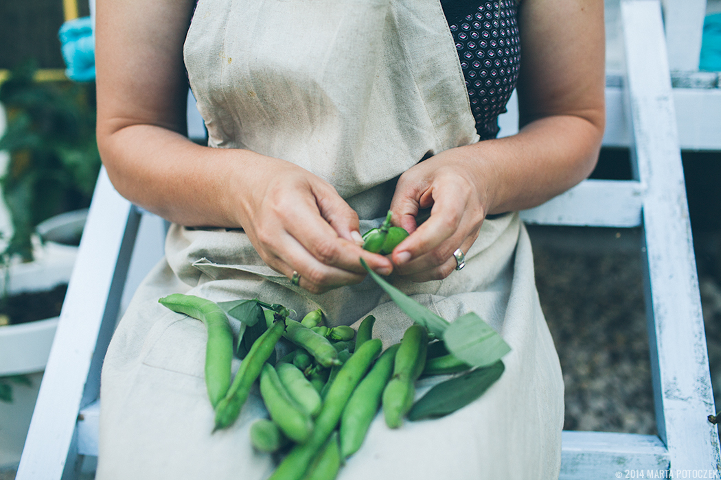 fava beans shelling2