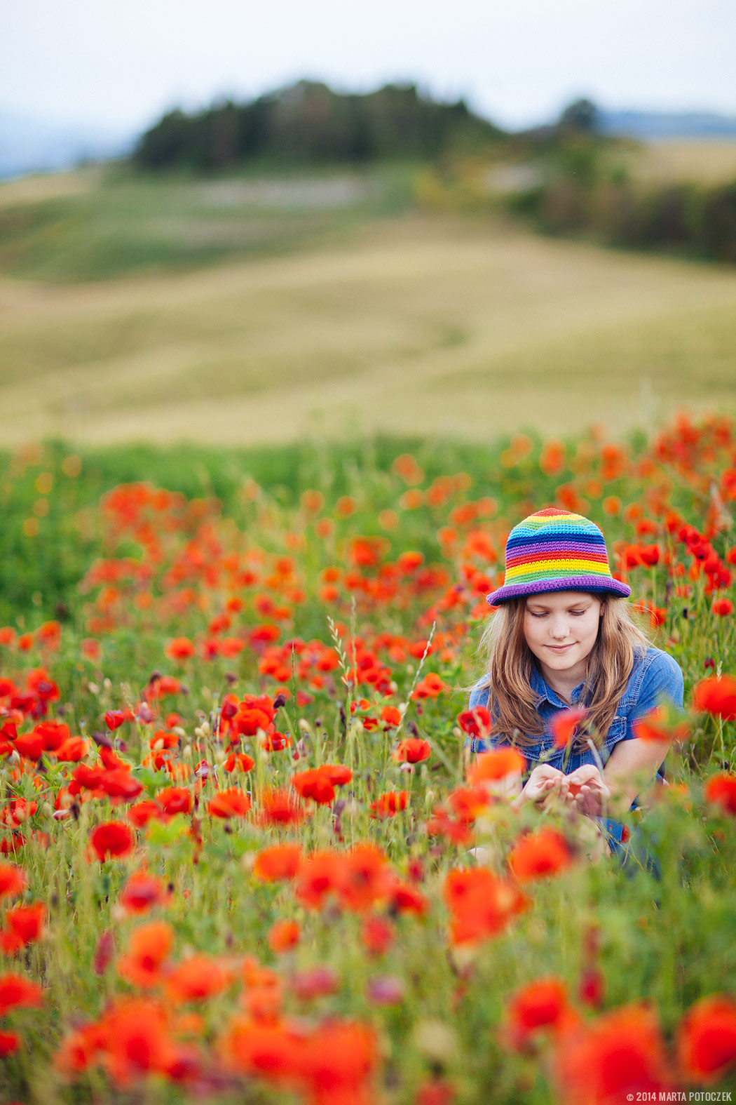 poppy_field_tuscany