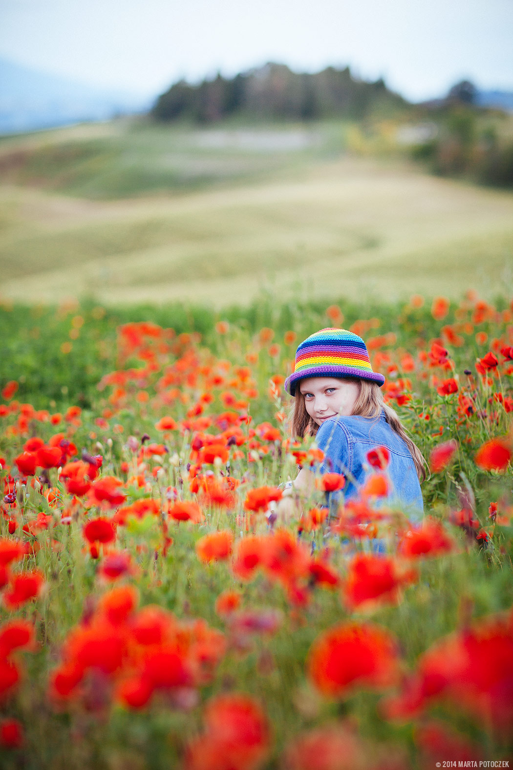 poppy_field_tuscany_seggiano