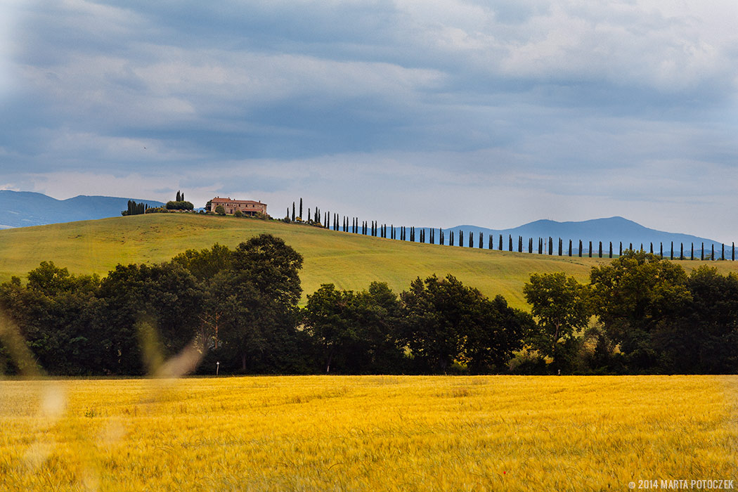 tuscany_view