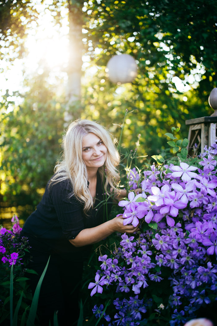 clematis w ogrodzie