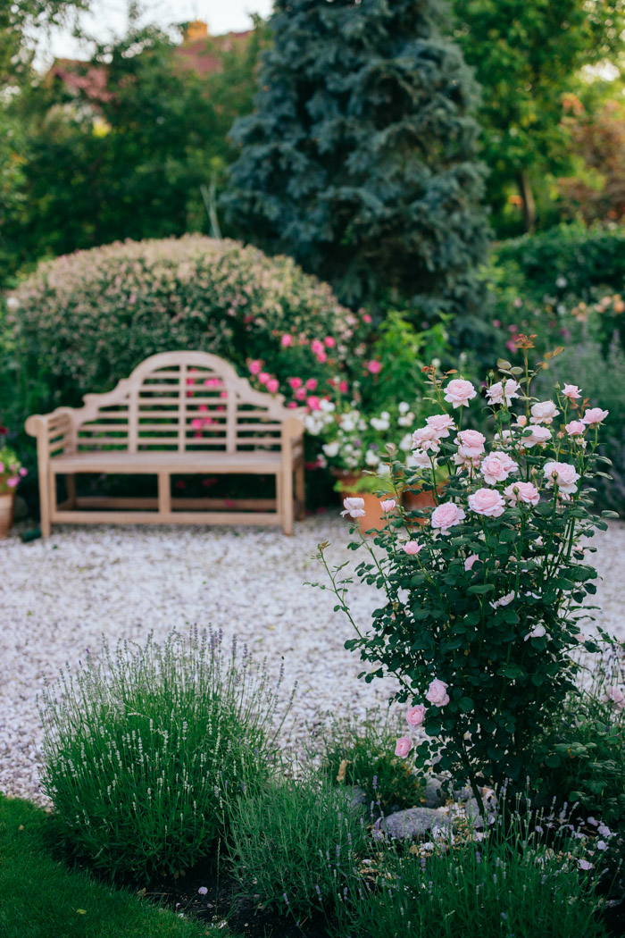 ławka w ogrodzie
